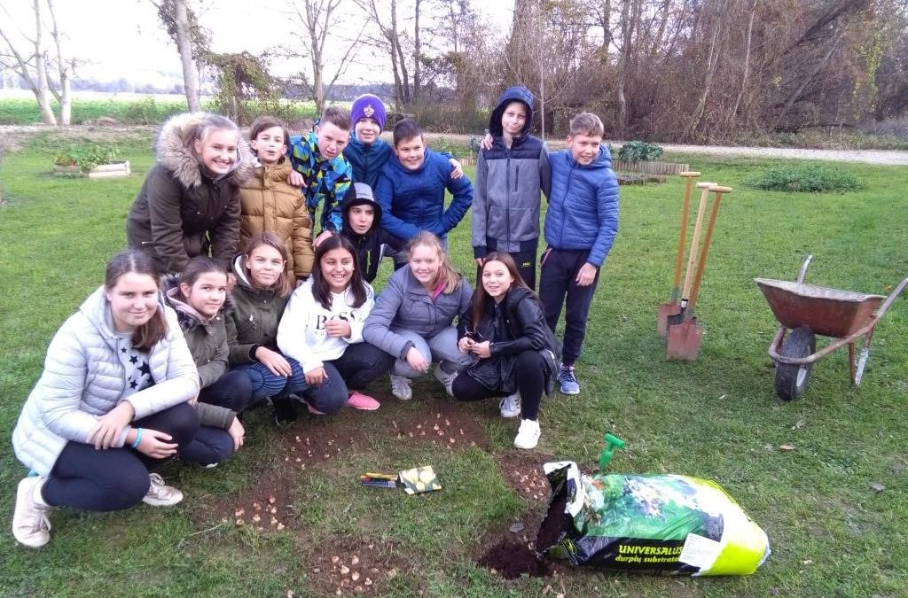 Mednarodni projekt Krokus