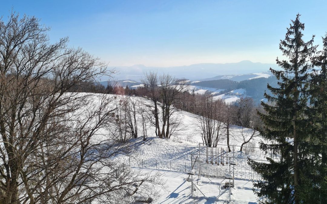 Šestošolci prispeli na Pohorje