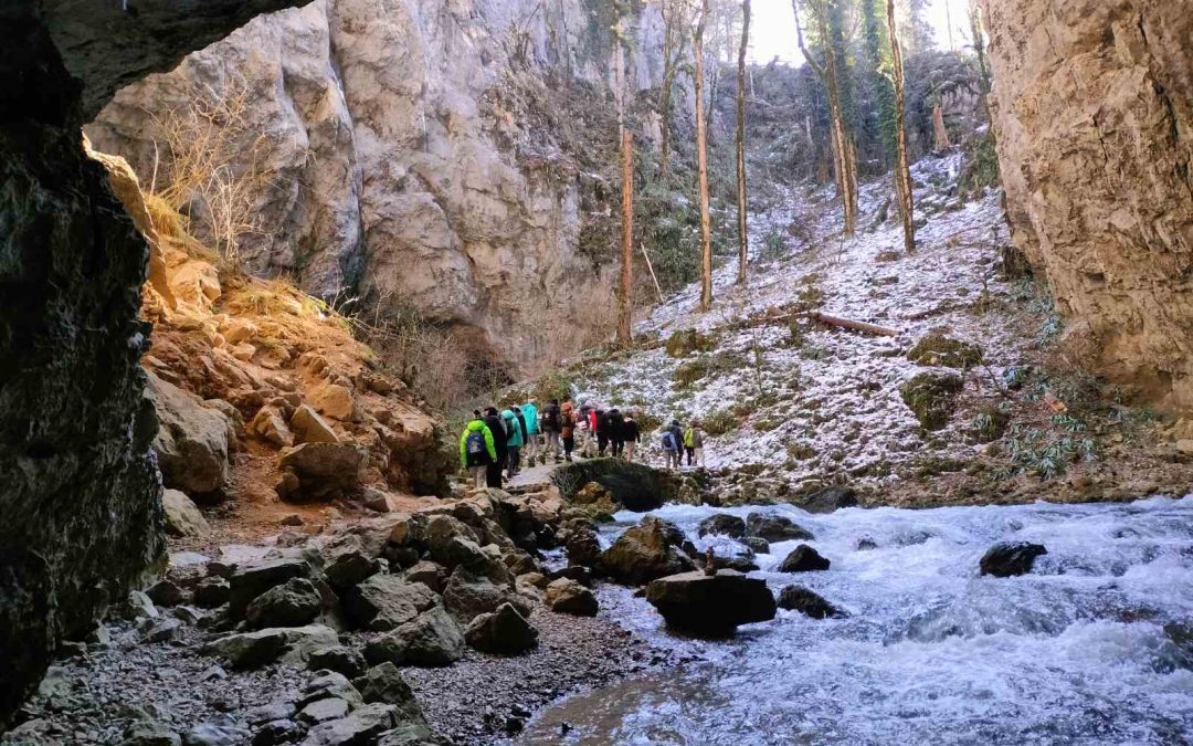 Drugi dan šole v naravi